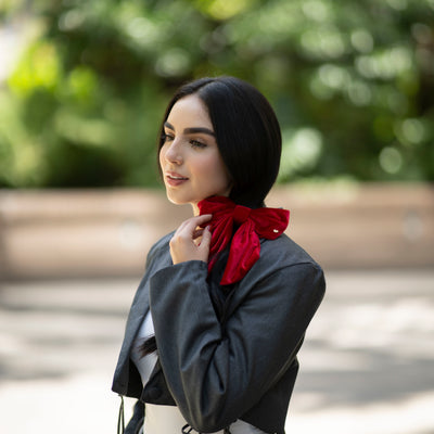 Moño - Large velvet Bows